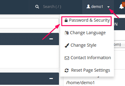 cpanel password