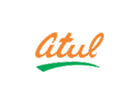 Atul | SSD Web Solutions